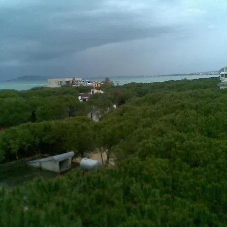 Pine 2 1 Apartamento