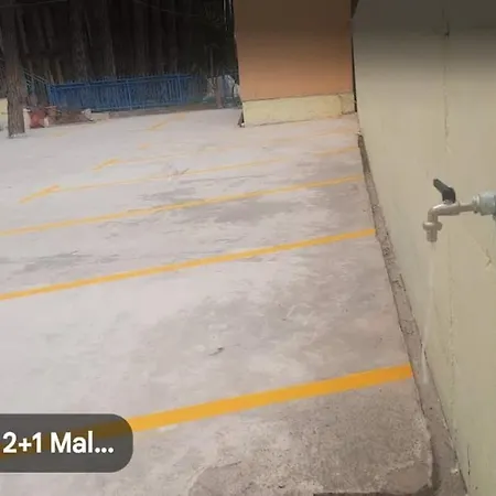 Pine 2 1 * Golem (Tirana)