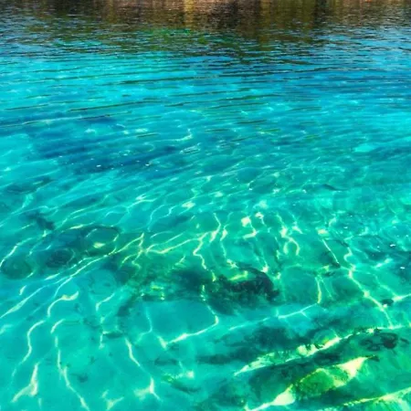 Pine 2 1 Apartmán Golem (Tirana)