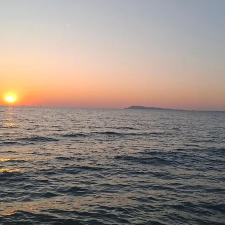 Pine 2 1 * Golem (Tirana)