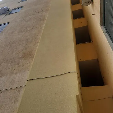 Pine 2 1 * Golem (Tirana)