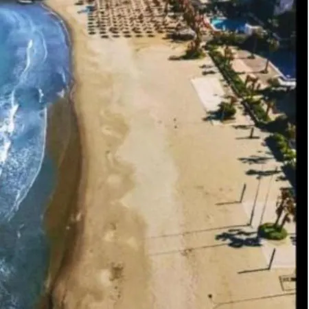 Pine 2 1 * Golem (Tirana)