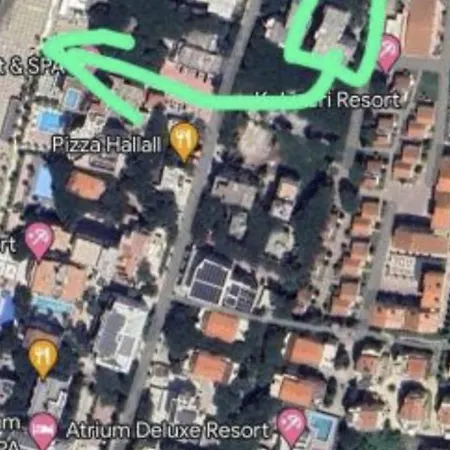 Pine 2 1 Golem (Tirana)