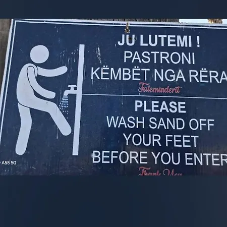 Pine 2 1 Golem (Tirana)