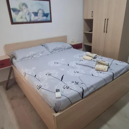 Pine 2 1 * Golem (Tirana)