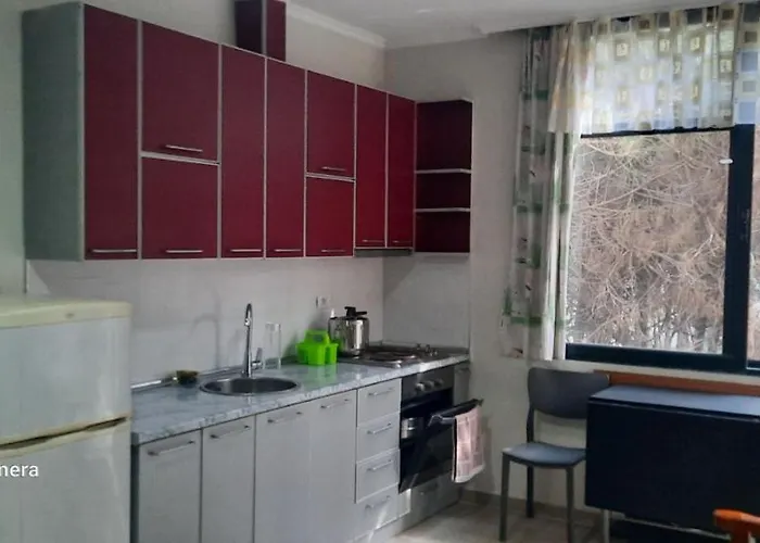 Pine 2 1 Apartament *