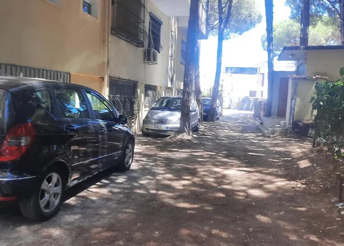 Apartament Pine 2 1 Golem (Tirana)