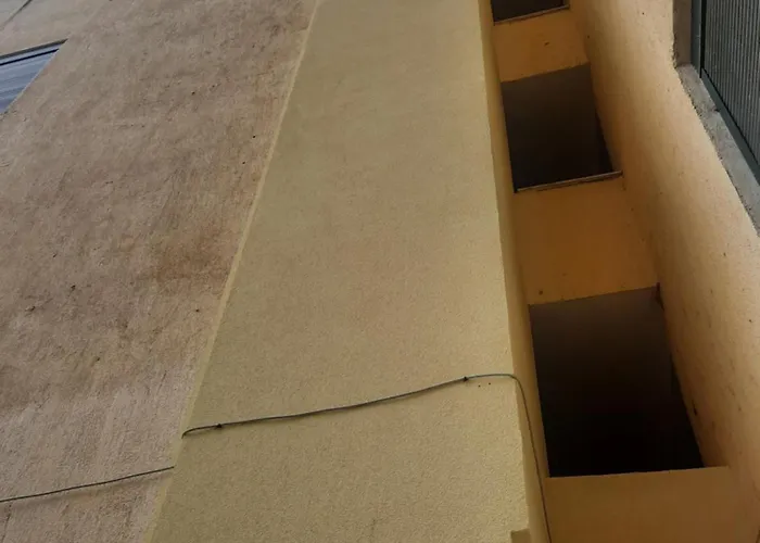 Pine 2 1 * Golem (Tirana)