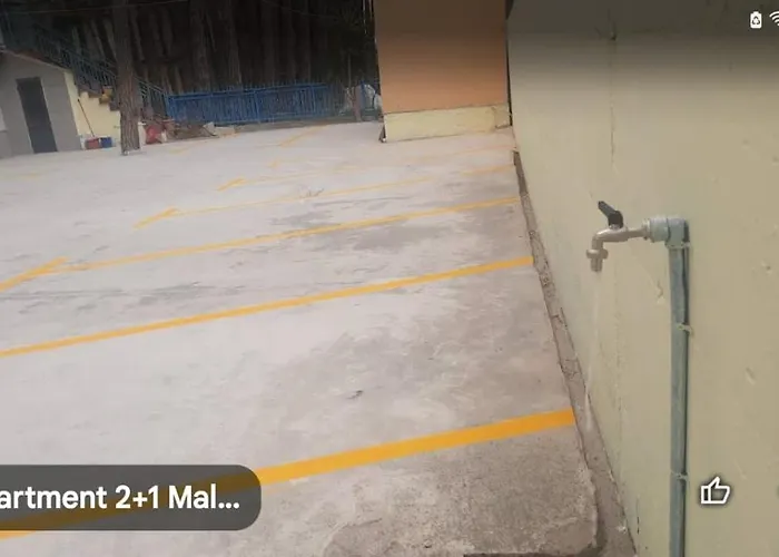 Pine 2 1 * Golem (Tirana)