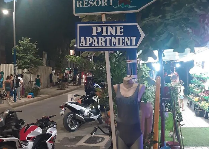 Apartament Pine 2 1