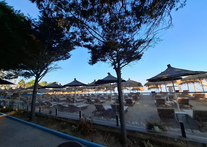 Pine 2 1 Apartment *