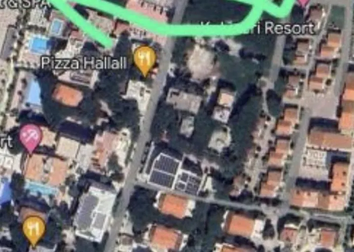 Pine 2 1 Golem (Tirana)